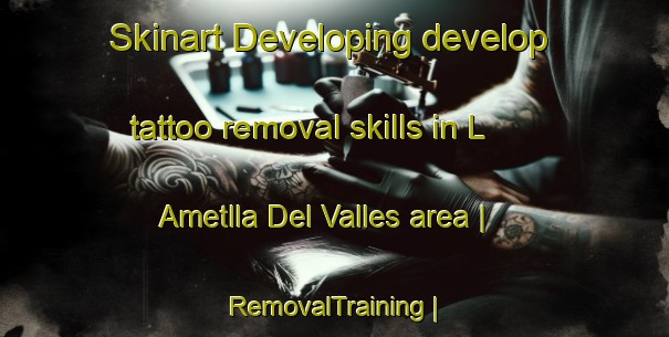 Skinart Developing develop tattoo removal skills in L Ametlla Del Valles area | RemovalTraining | RemovalClasses | SkinartTraining-Spain